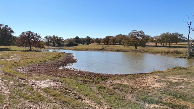 TBD CR 481 Tract 2, Thrall, TX 76578