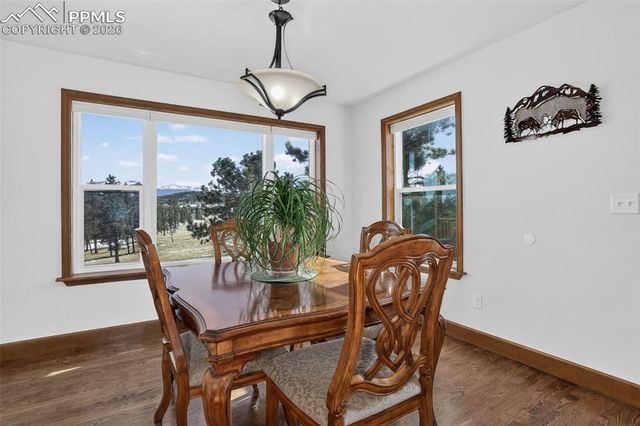 4797 County Road 42, Divide, CO 80814