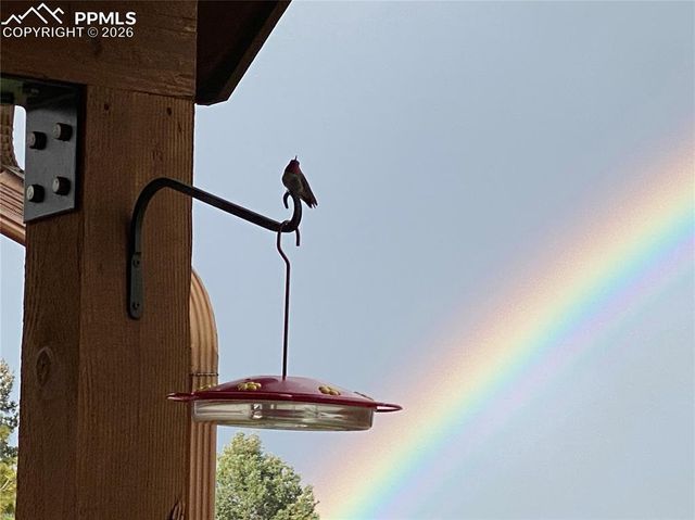 4797 County Road 42, Divide, CO 80814