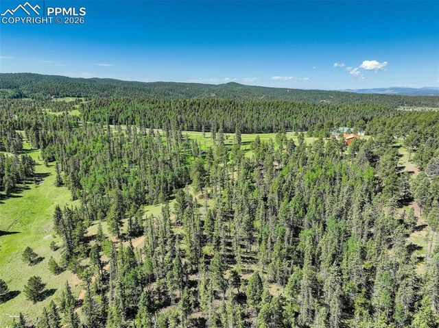 4797 County Road 42, Divide, CO 80814