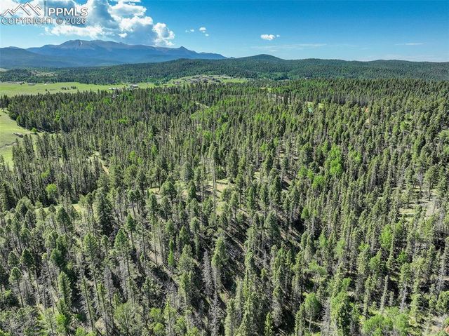4797 County Road 42, Divide, CO 80814
