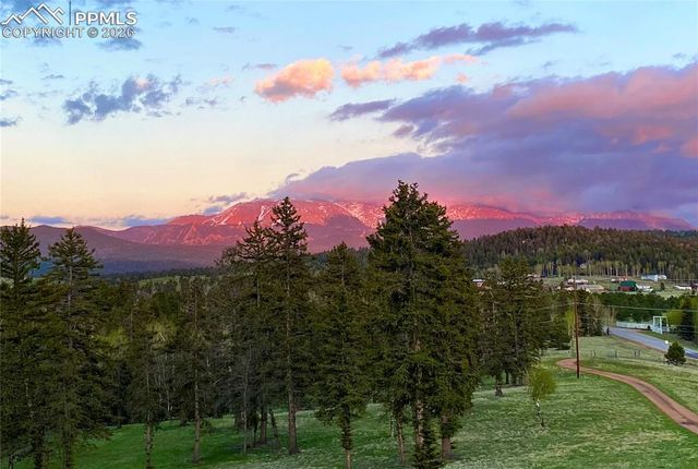 4797 County Road 42, Divide, CO 80814