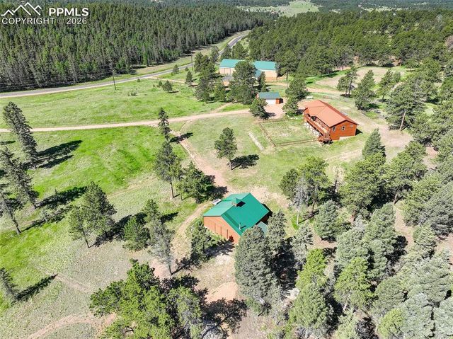 4797 County Road 42, Divide, CO 80814