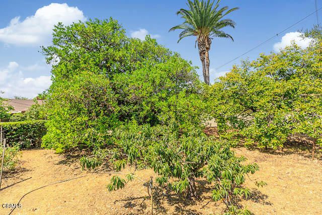 3665 Shadow Grove Road, Pasadena, CA 91107