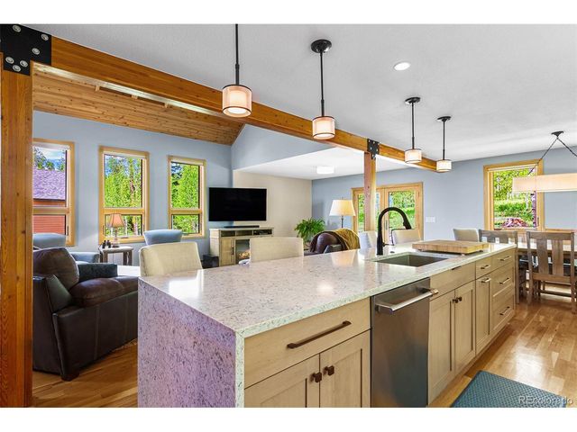 87 Spring Beauty Dr, Silverthorne, CO 80498