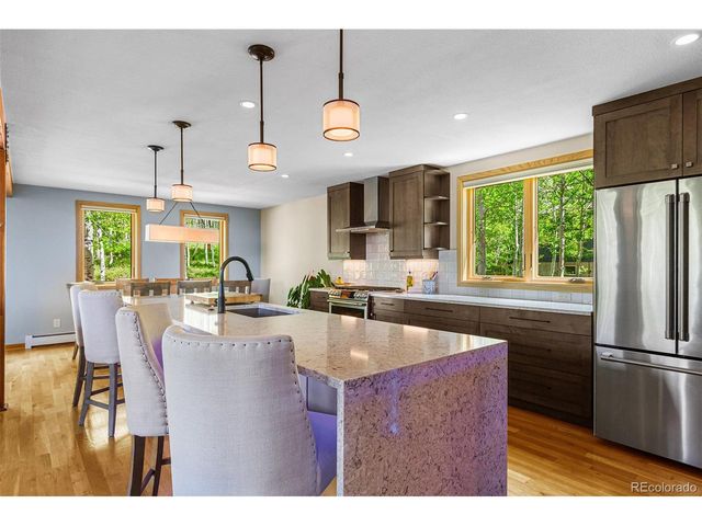 87 Spring Beauty Dr, Silverthorne, CO 80498