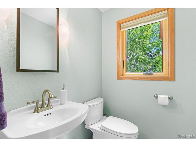 87 Spring Beauty Dr, Silverthorne, CO 80498