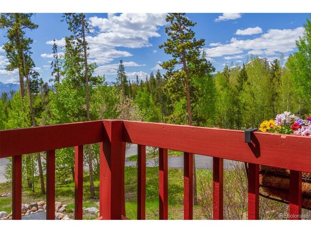 87 Spring Beauty Dr, Silverthorne, CO 80498