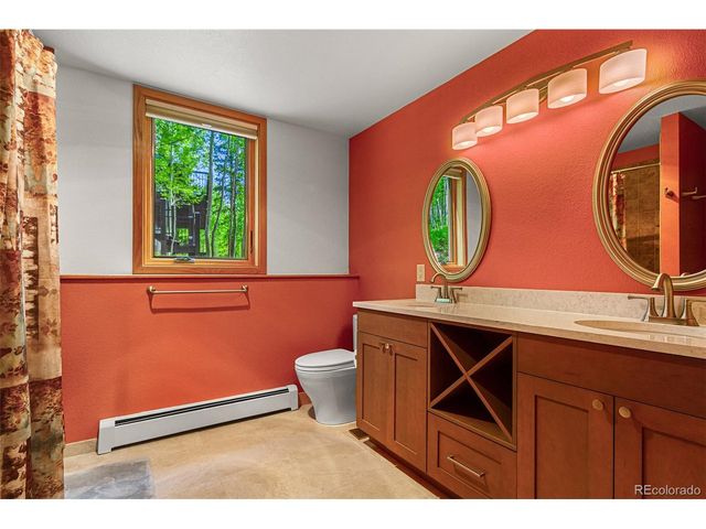 87 Spring Beauty Dr, Silverthorne, CO 80498