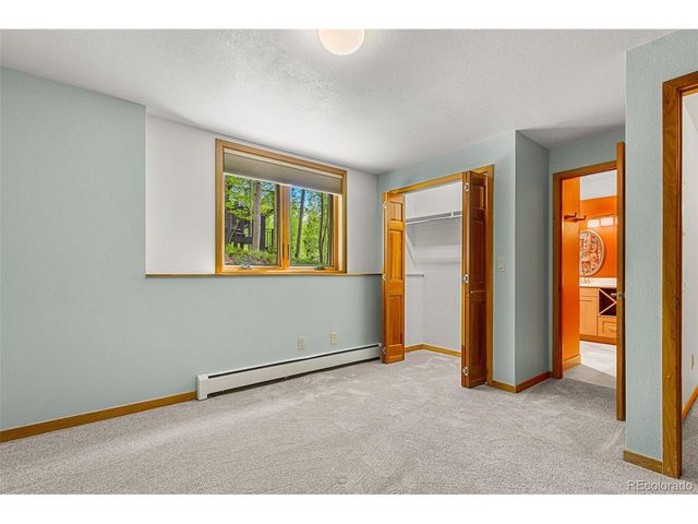 87 Spring Beauty Dr, Silverthorne, CO 80498