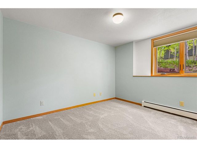 87 Spring Beauty Dr, Silverthorne, CO 80498