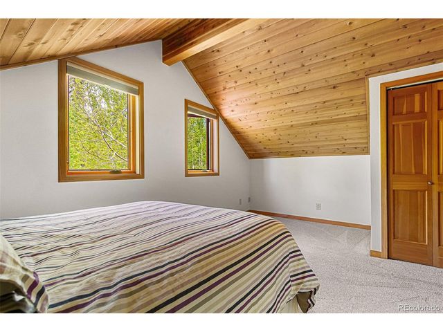 87 Spring Beauty Dr, Silverthorne, CO 80498