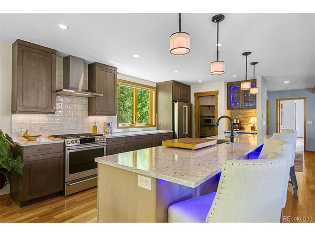 87 Spring Beauty Dr, Silverthorne, CO 80498