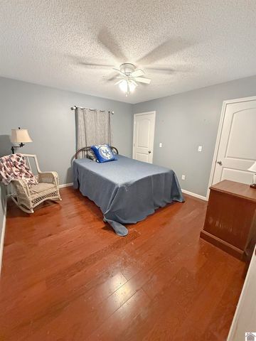 575 N Sutton Lane, Mayfield, KY 42066