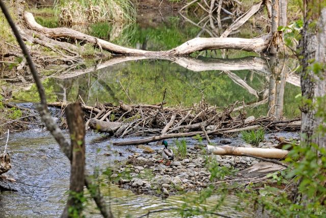 3048 Myrtledale Rd, Calistoga, CA 94515