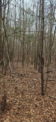 0 HWY 220, Lincolnton, GA 30817