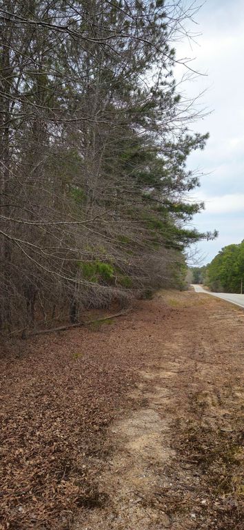 0 HWY 220, Lincolnton, GA 30817