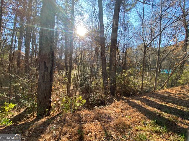 LOT 11 Belletta Drive, Canton, GA 30114