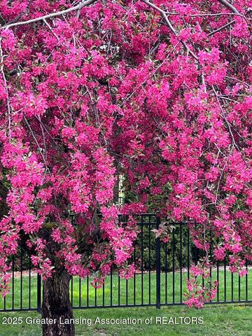 4327 Fieldview Drive, Grand Ledge, MI 48837