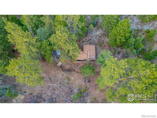 520 Isaac Lane, Bellvue, CO 80512