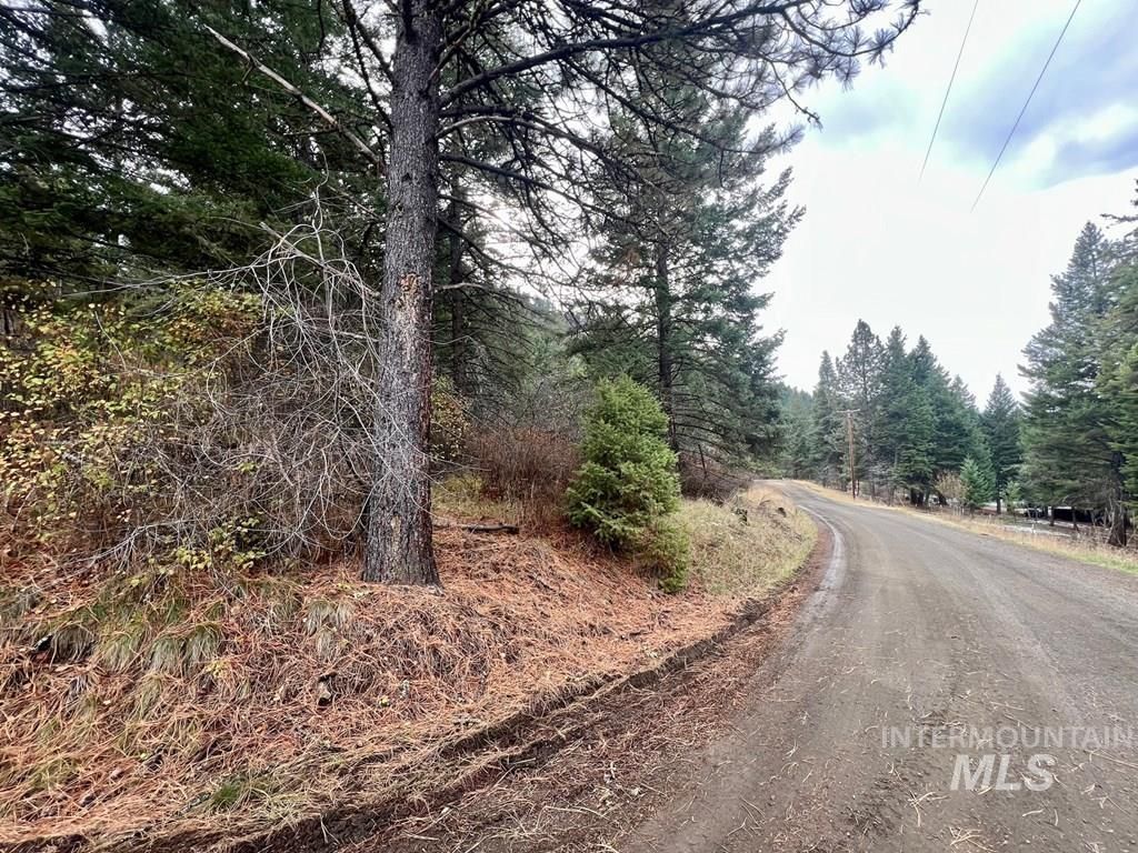 TBD Bouffard Flat Road, White Bird, ID 83554