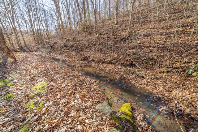 1934 Hog Creek Rd, Waynesboro, TN 38485