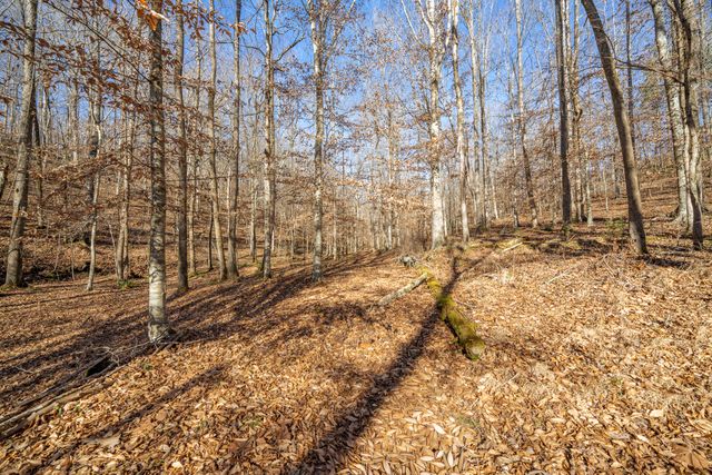 1934 Hog Creek Rd, Waynesboro, TN 38485