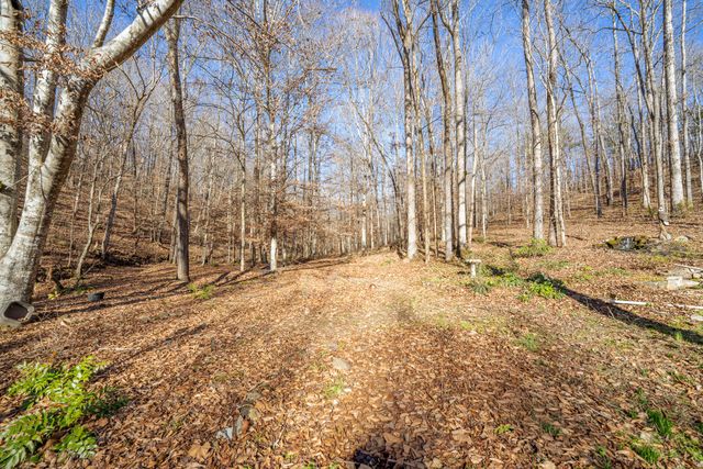 1934 Hog Creek Rd, Waynesboro, TN 38485