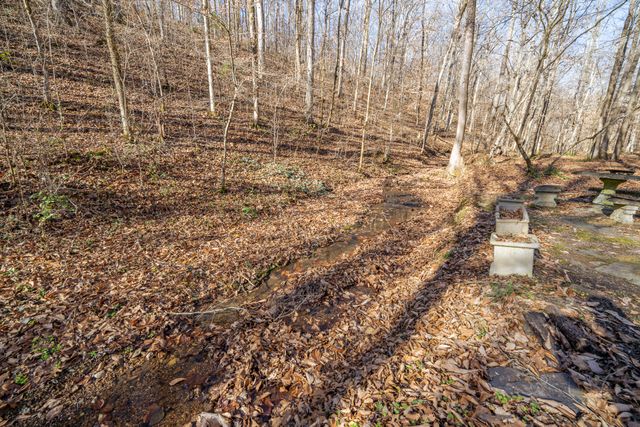 1934 Hog Creek Rd, Waynesboro, TN 38485