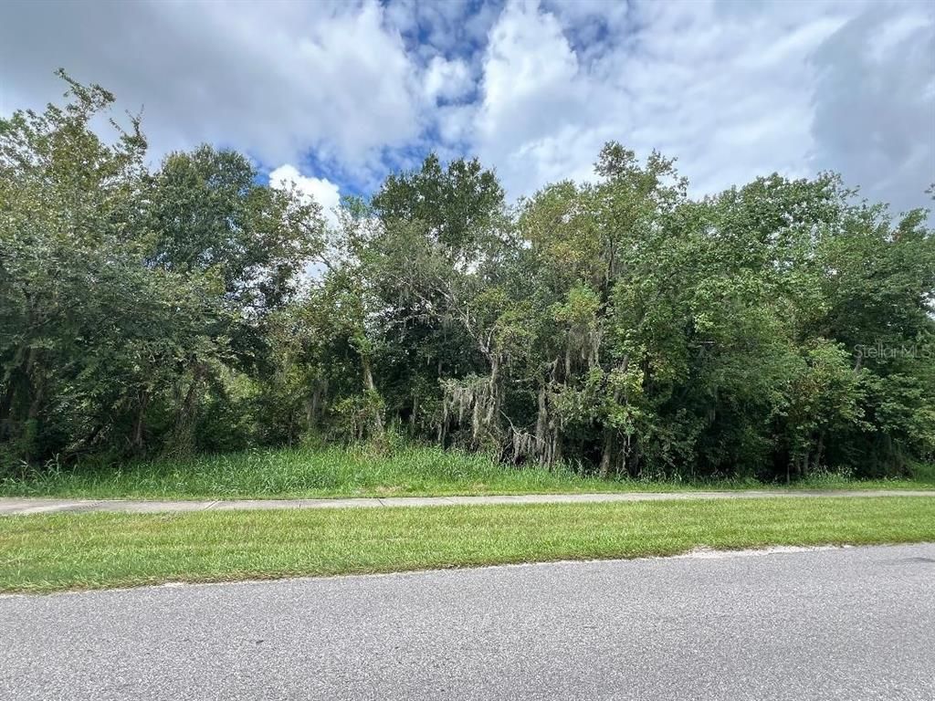 1007 WALLER STREET, Plant City, FL 33563