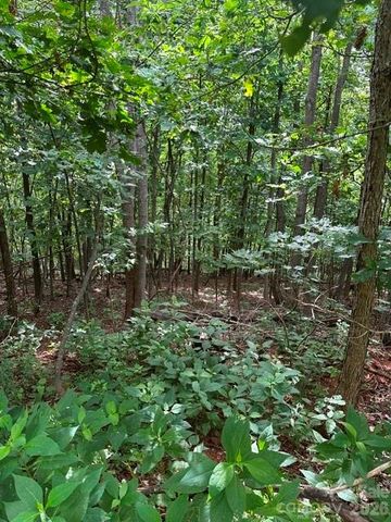 0 Cove Gap Road 2, Moravian Falls, NC 28654