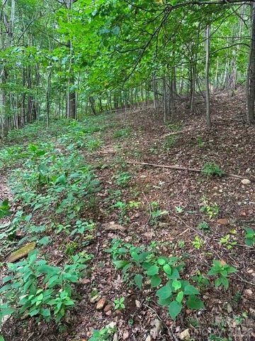 0 Cove Gap Road 2, Moravian Falls, NC 28654