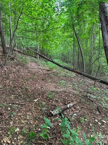 0 Cove Gap Road 2, Moravian Falls, NC 28654