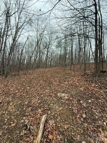 0 Cove Gap Road 2, Moravian Falls, NC 28654