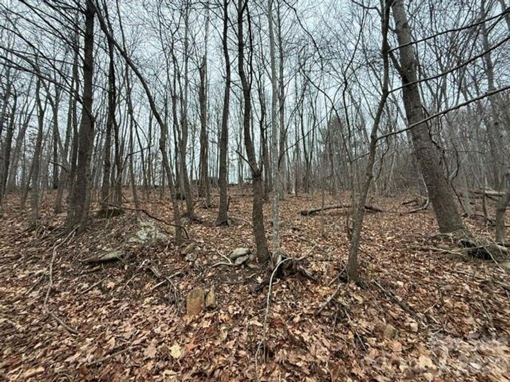 0 Cove Gap Road 2, Moravian Falls, NC 28654