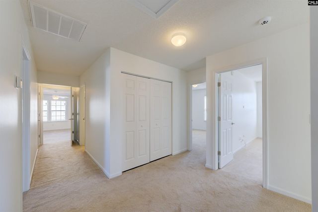 289 Baccharis Drive, Columbia, SC 29229