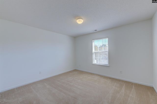 289 Baccharis Drive, Columbia, SC 29229