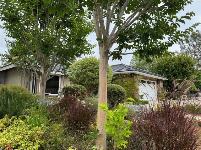 31 Sycamore, Irvine, CA 92603