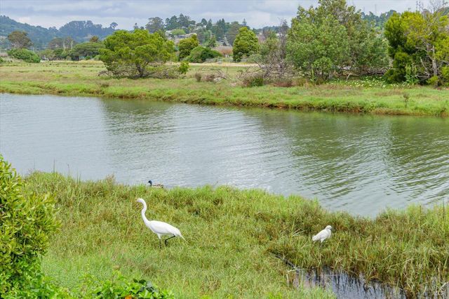 755 Miller Ave, Mill Valley, CA 94941