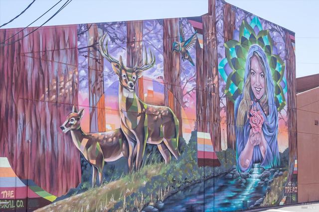 755 Miller Ave, Mill Valley, CA 94941