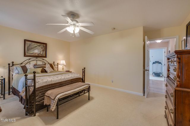 463 Pine Ridge Drive, Afton, TN 37616