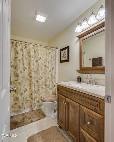 463 Pine Ridge Drive, Afton, TN 37616