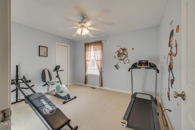 463 Pine Ridge Drive, Afton, TN 37616