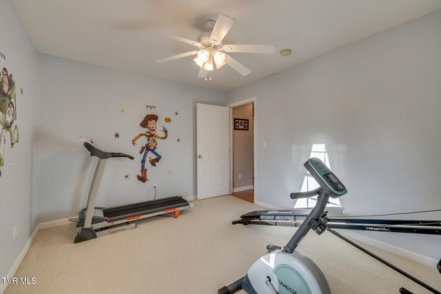 463 Pine Ridge Drive, Afton, TN 37616