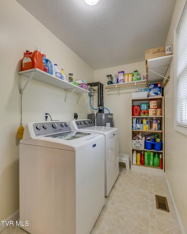 463 Pine Ridge Drive, Afton, TN 37616
