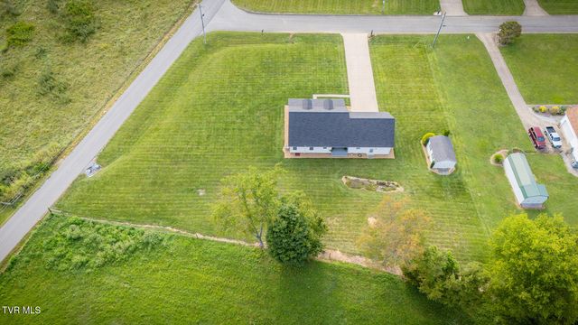 463 Pine Ridge Drive, Afton, TN 37616