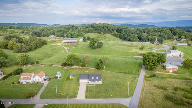 463 Pine Ridge Drive, Afton, TN 37616