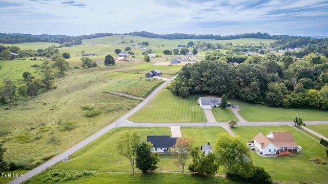 463 Pine Ridge Drive, Afton, TN 37616