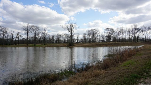 GranLake Lot 24 La Hwy 68, Jackson, LA 70748