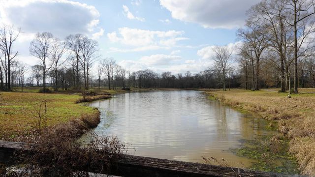 GranLake Lot 24 La Hwy 68, Jackson, LA 70748